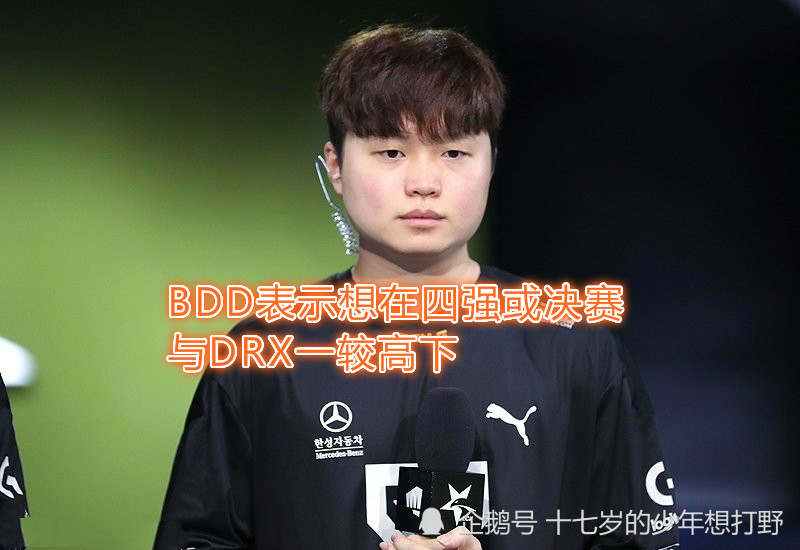 关于DRX逆转Excel，BDD高光表现的信息